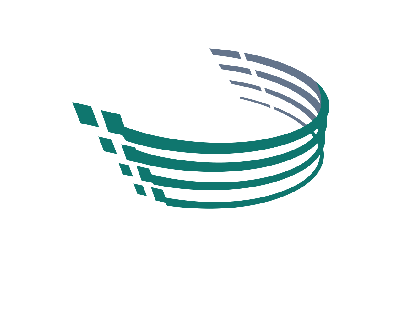CHXcel - Digital Confidence, Delivered
